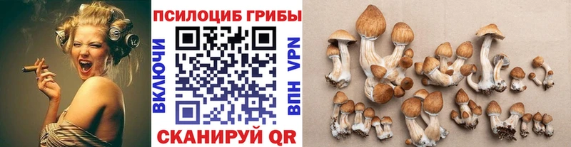 как найти наркотики  Мичуринск  blacksprut как войти  Псилоцибиновые грибы GOLDEN TEACHER 